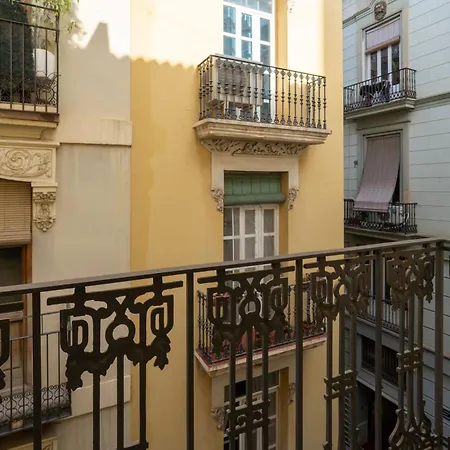 Vlc Host - Linterna * Valencia